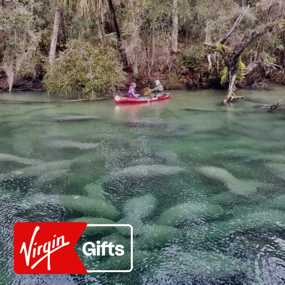 Manatee Encounter Kayak Tour | Water Activities | Kayak Tours | Florida | Tampa | Virgin Gifts / Vouchers