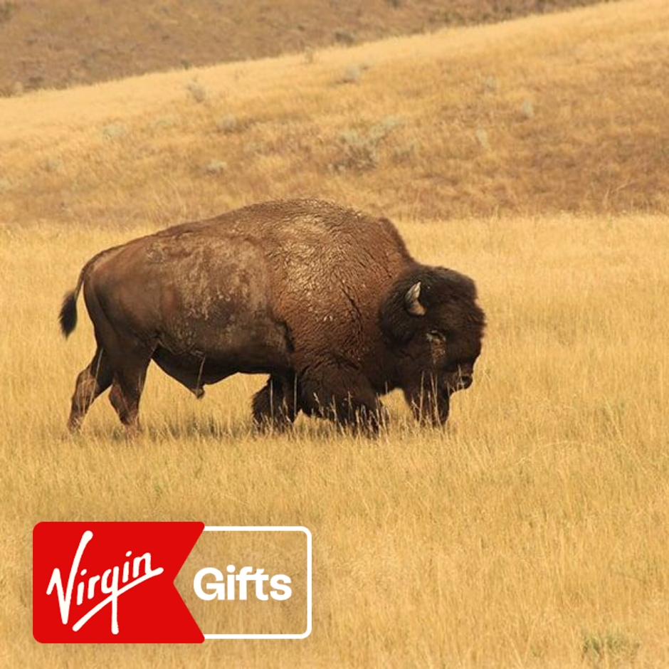 Private Best of the Badlands Adventure | Virgin Gifts / Vouchers
