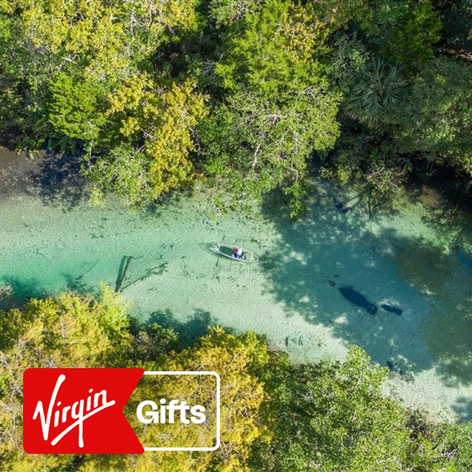 Weeki Wachee Clear Kayak Manatee Ecotour | Water Activities | Kayak Tours | Florida | Tampa | Virgin Gifts / Vouchers