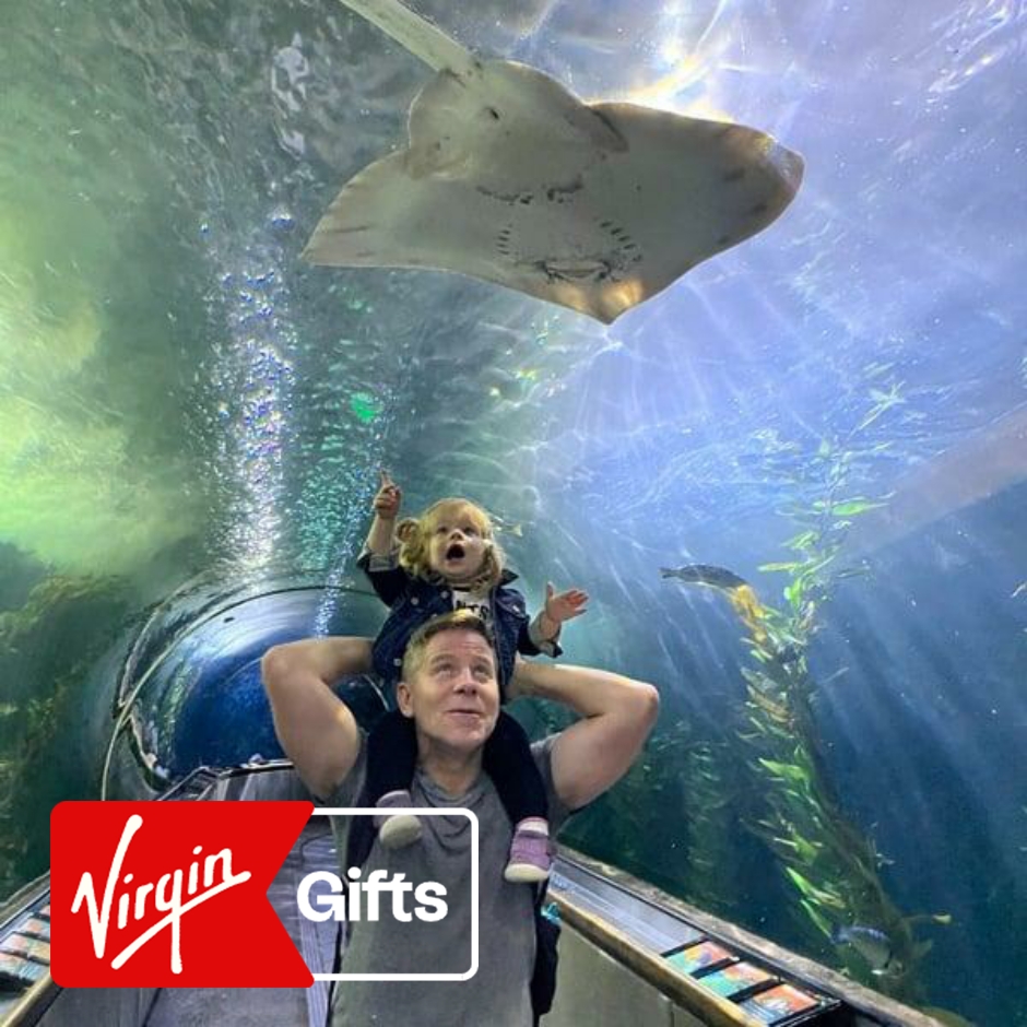 VIP Adventure at the Aquarium of the Bay | Excursions | Attractions | California | San Francisco | Virgin Gifts / Vouchers