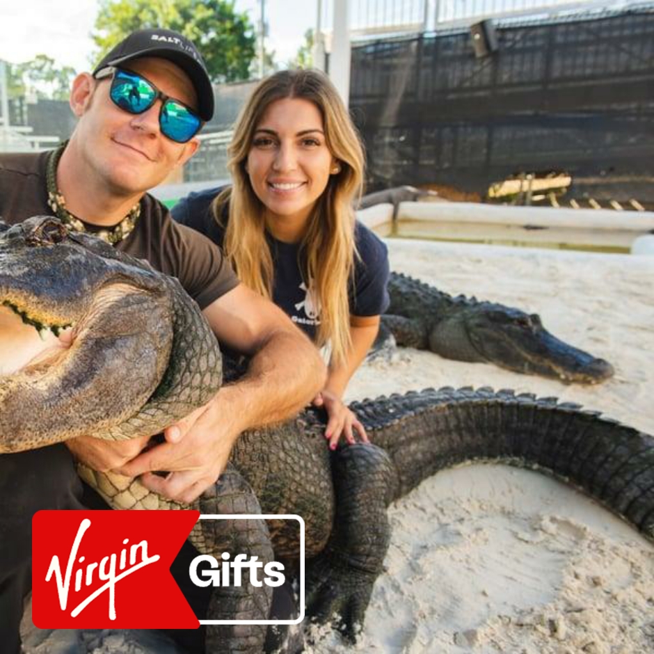Big Bus Miami Everglades Adventure: Airboat Ride and Wildlife Show | Tours & Sightseeing | Florida | Virgin Gifts / Vouchers