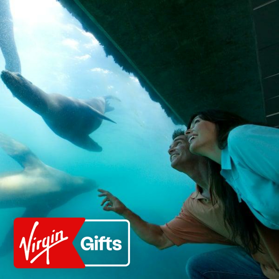 Aquarium of the Pacific Admission and Harbor Cruise for Two | Scenic Cruises | Attractions | California | Los Angeles | Virgin Gifts / Vouchers
