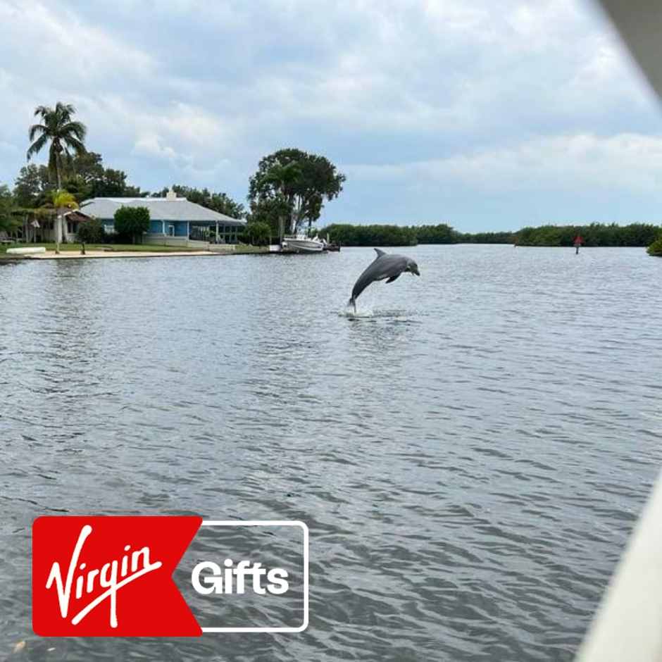 Dolphin and Wildlife Cruise in Cocoa Beach | Scenic & Sunset Cruises | Day Cruises | Florida | Orlando | Virgin Gifts / Vouchers