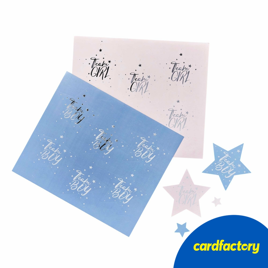 Image of Team Boy &amp; Team Girl Stickers - Pack of 24