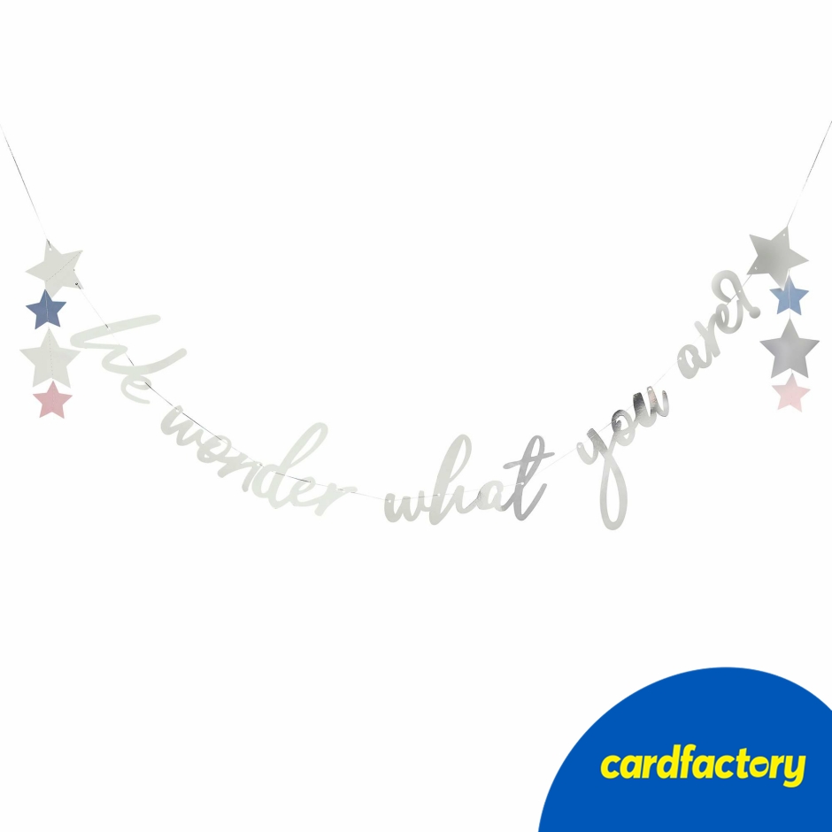 Image of Silver We Wonder What You Are? Card Banner 2m