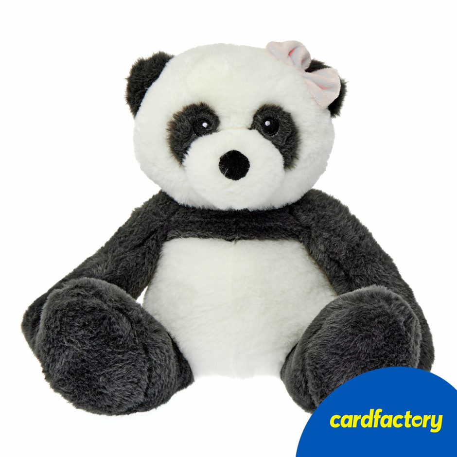 Image of Medium Panda Soft Toy | Gift for Kids | Cute Panda Plush | Cardfactory
