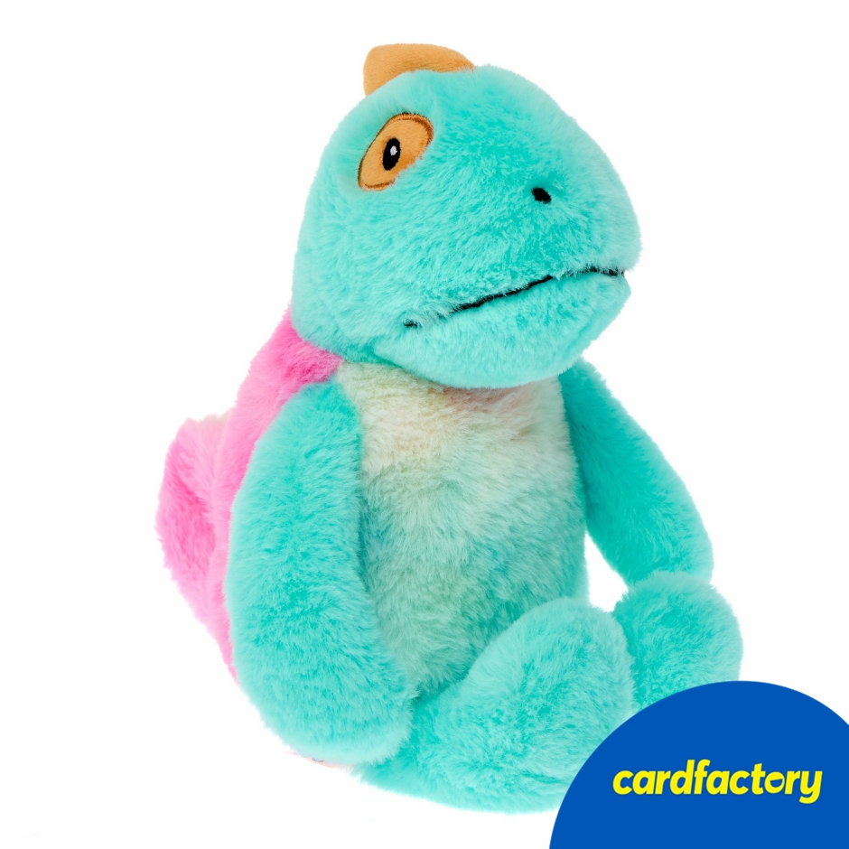 Image of Small Chameleon Soft Toy