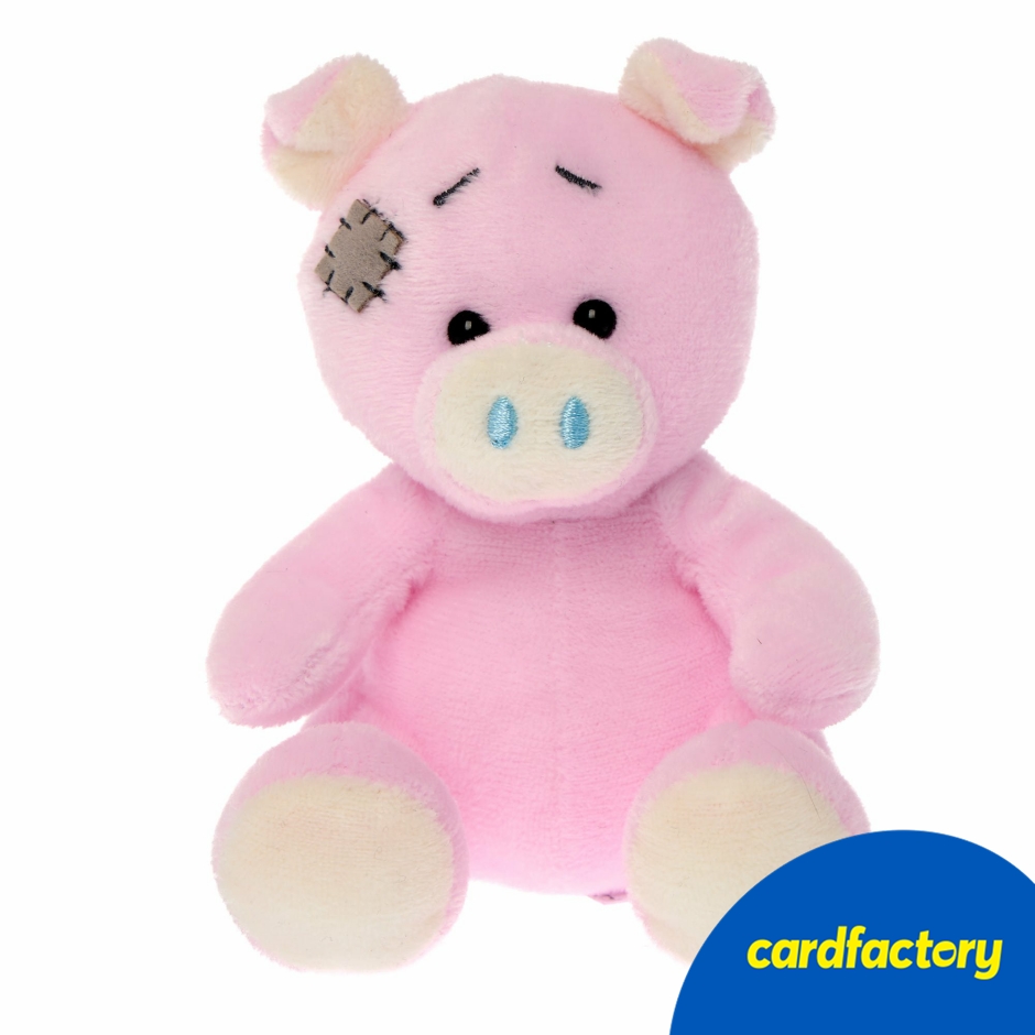 Image of My Blue Nose Friends Pigasso the Pig Collectable Plush Toy | Cute Beanie | Soft &amp; Cuddly | 12cm x 8cm x 10cm | Perfect Gift for Kids