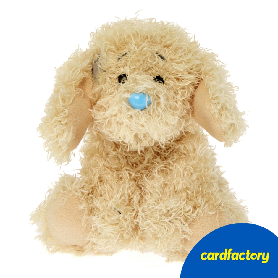 Image of My Blue Nose Friends - Boo the Cockapoo Cute Collectable Beanie