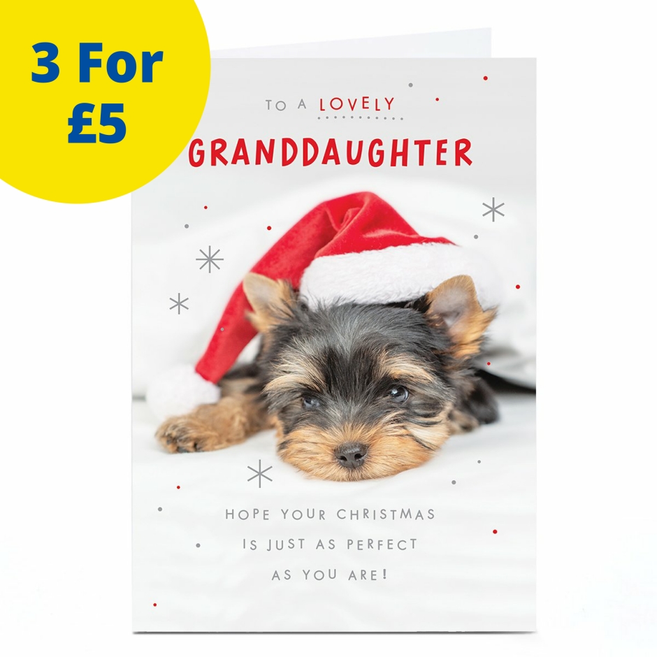 Image of Christmas Card - Puppy in Santa Hat, Granddaughter | Christmas Cards