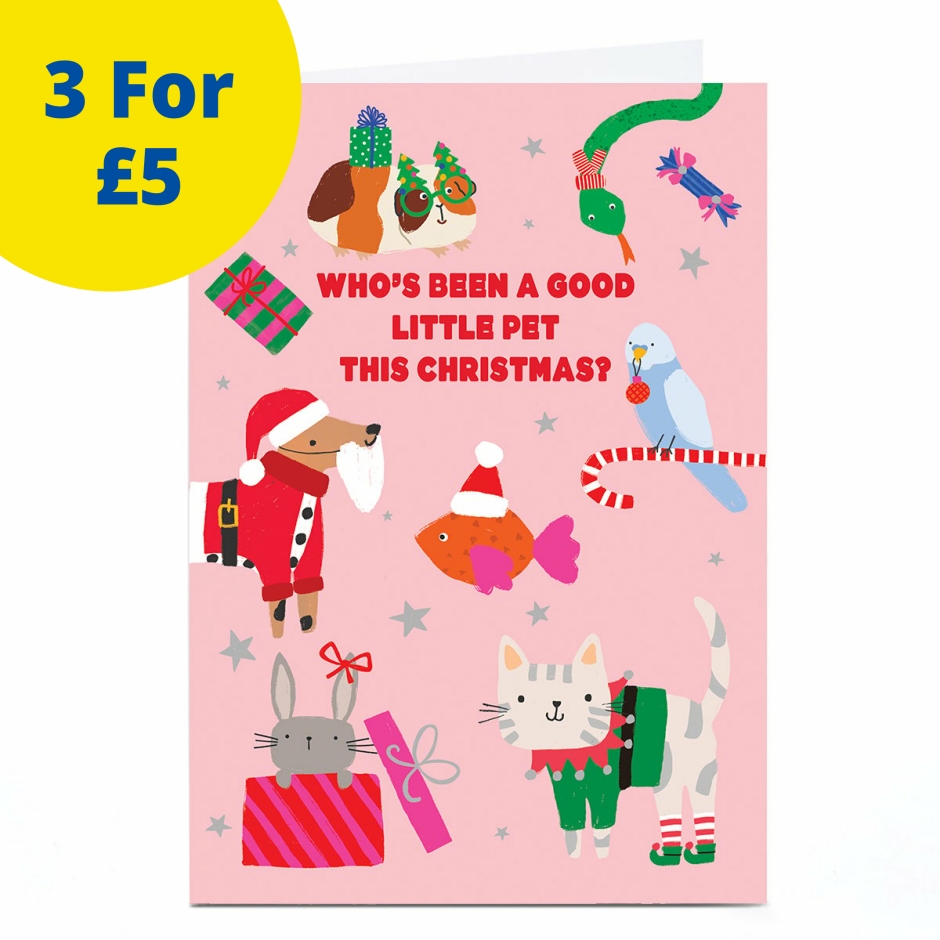 Image of To The Pet Christmas Card - Lots of Colourful Pets | Christmas Cards