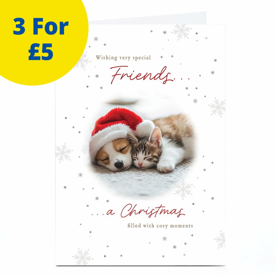 Image of Christmas Card - Cosy Moments Puppy and Kitten Cuddle, Friends | Christmas Cards