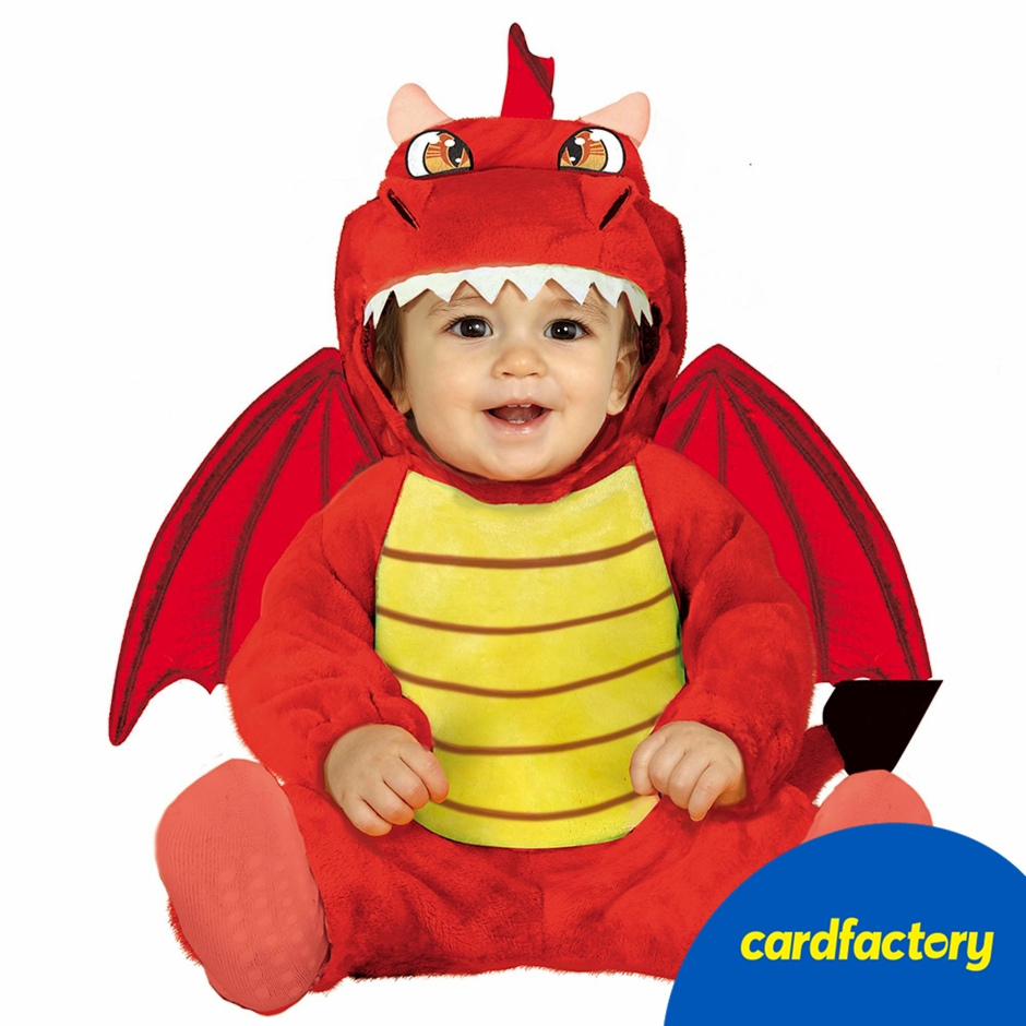 Image of Baby Dragon Fancy Dress Costume