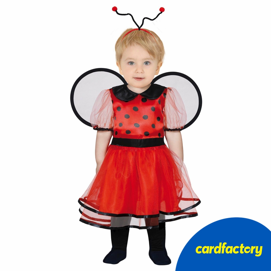 Image of Lil Bug Baby's Fancy Dress Costume