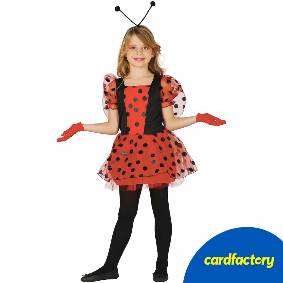 Image of Ladybird Children's Fancy Dress Costume