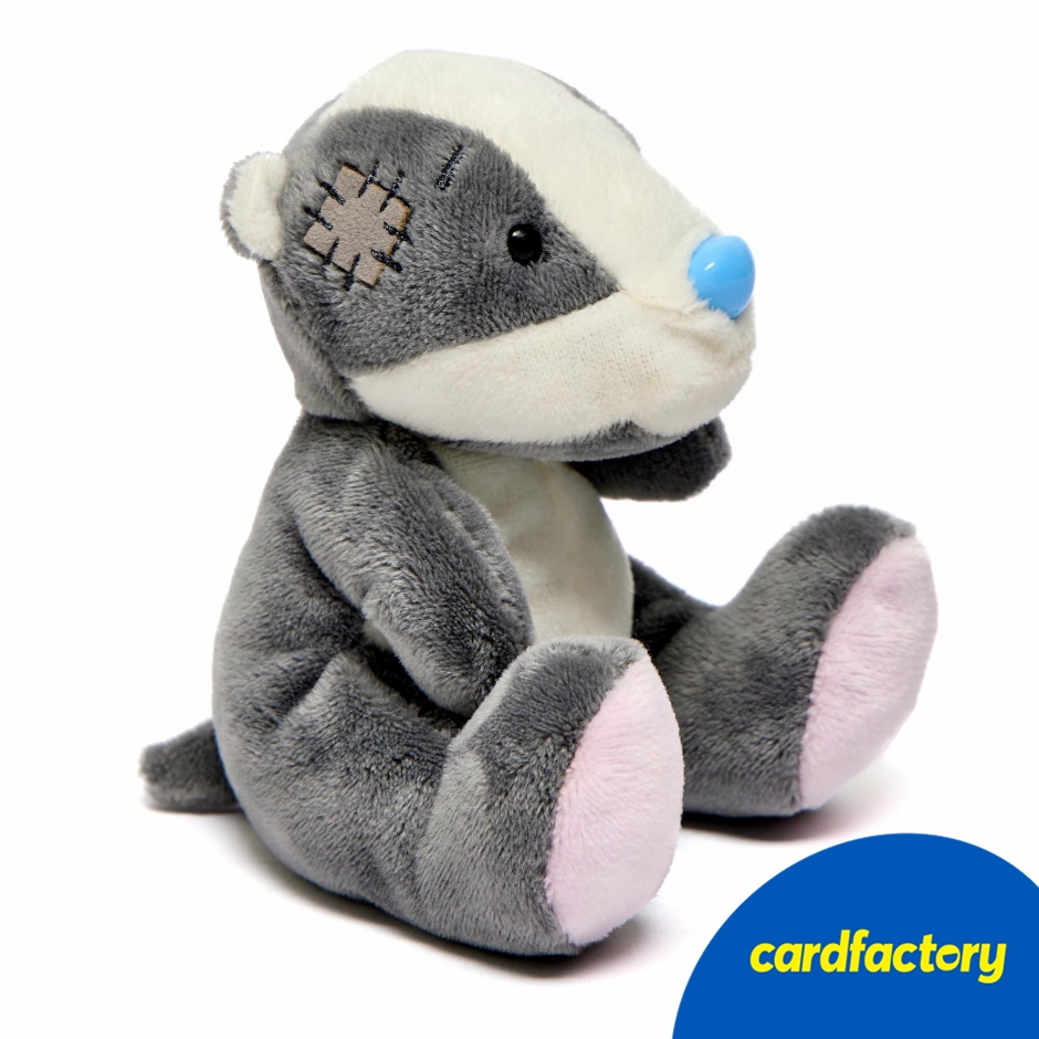 Image of My Blue Nose Friends - Digby the Badger Cute Collectable Beanie