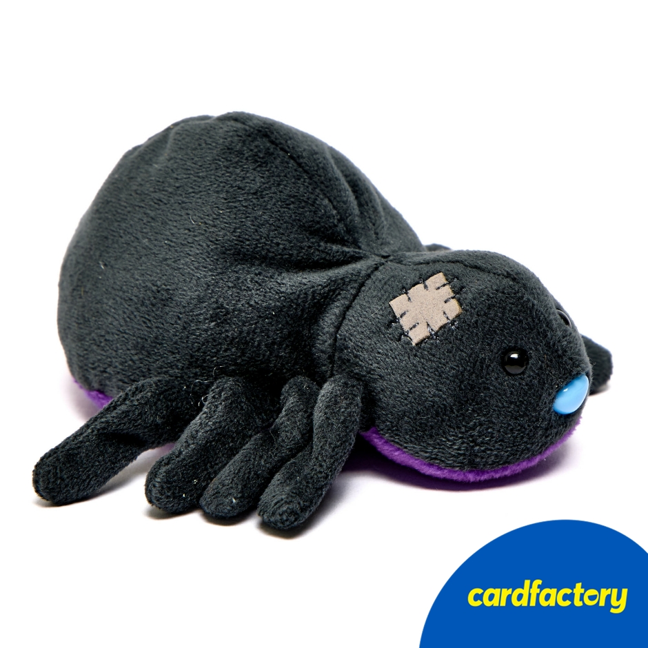 Image of My Blue Nose Friends - Spinderella the Spider Cute Collectable Beanie (RARE)