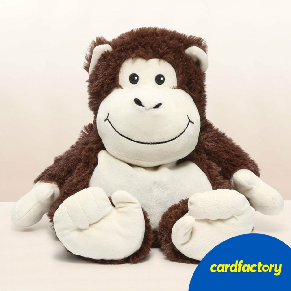 Image of Warmies Heatable Scented Lavender Soft Toy Monkey