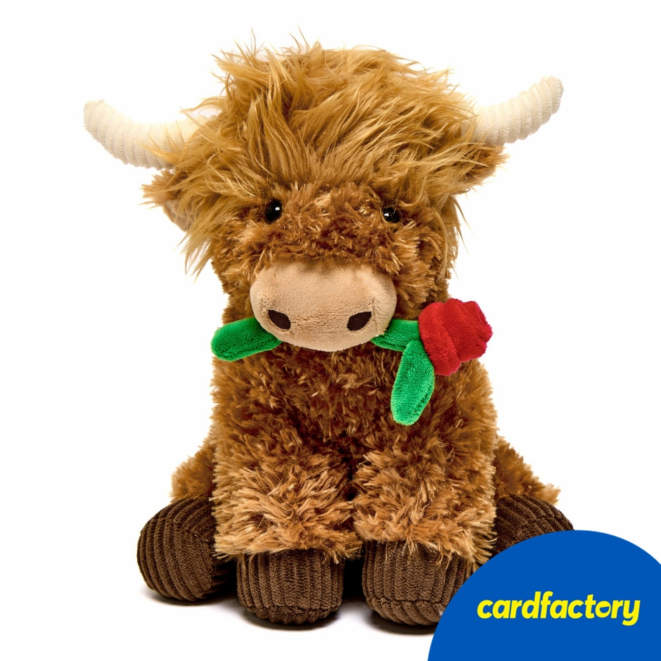 Image of Medium Highland Cow With Rose Soft Toy