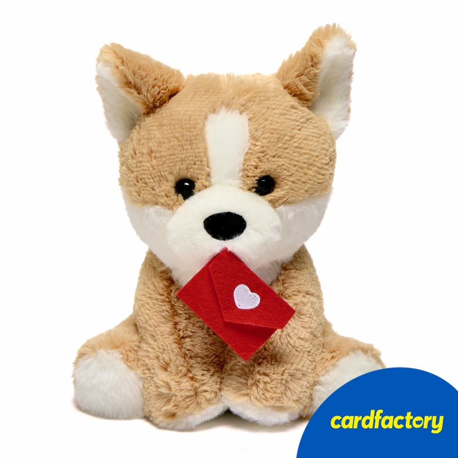 Image of Small Corgi With Love Letter Soft Toy