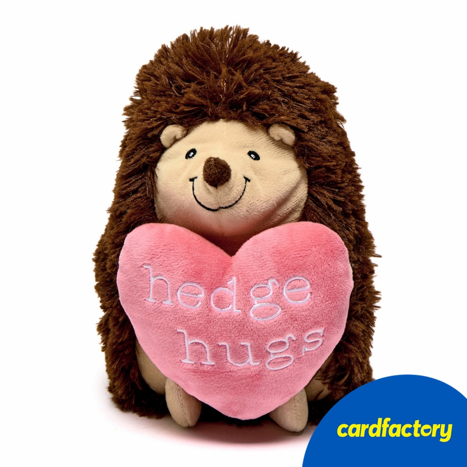 Image of Small Hedge Hugs Soft Toy