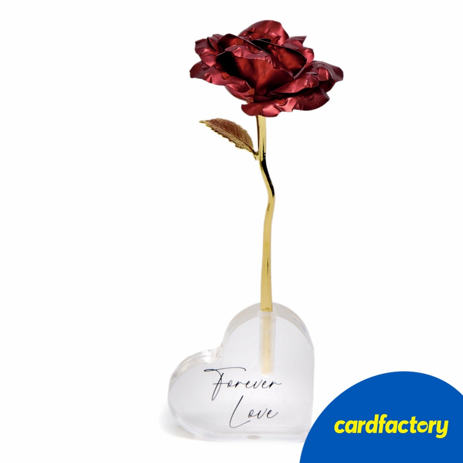 Image of Forever Love It's Always You Ornamental Rose