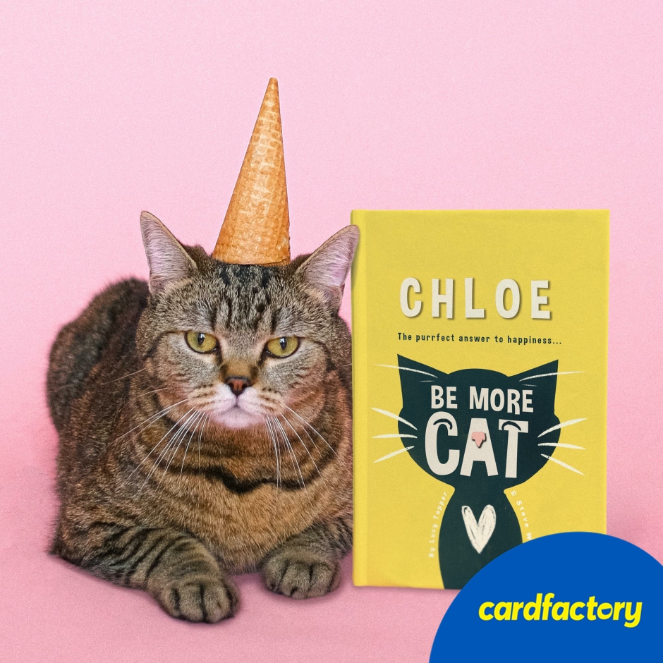 Image of Personalised Be More Cat Funny Book