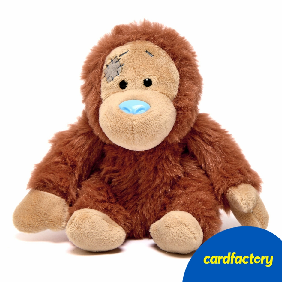 Image of My Blue Nose Friends - Darwin the Orangutan Cute Collectable Beanie