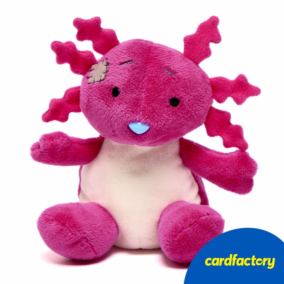 Image of My Blue Nose Friends - Bubbles the Axolotl Cute Collectable Beanie (Limited Edition)