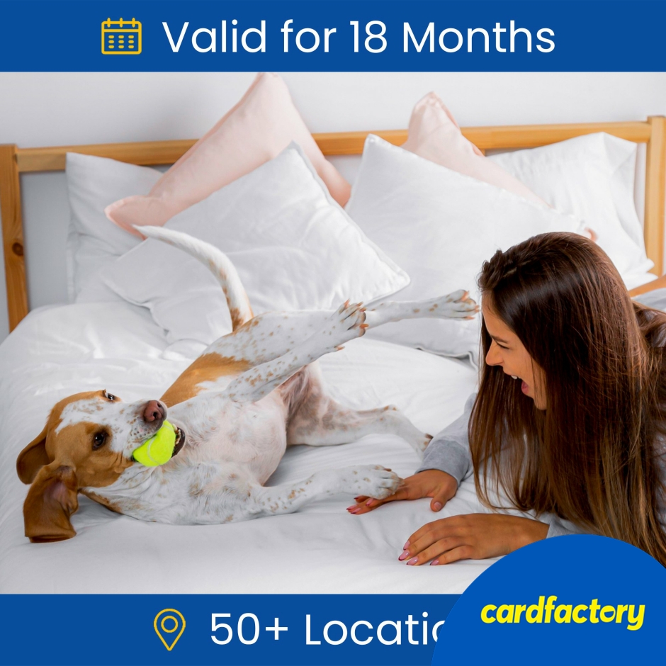 Image of Dog Friendly Hotel Stay Gift Experience | Pet-Friendly Getaway | Includes Breakfast or Room-Only Options | Perfect Gift for Dog Owners