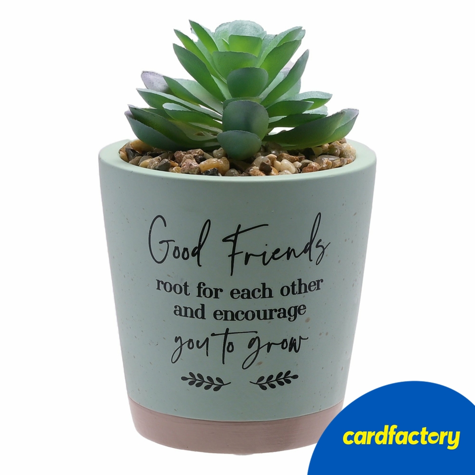 Image of Good Friends Root For Each Other Artificial Succulent | Stoneware Gift Pot with Sentimental Quote | Decorative Faux Plant | 15.5cm x 9.5cm x 9.5cm