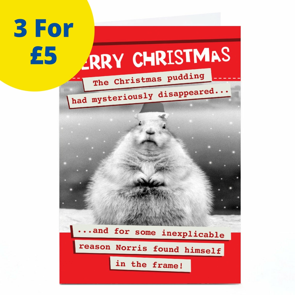 Image of Quitting Hollywood Christmas Card - Merry Christmas Pudding | Christmas Cards