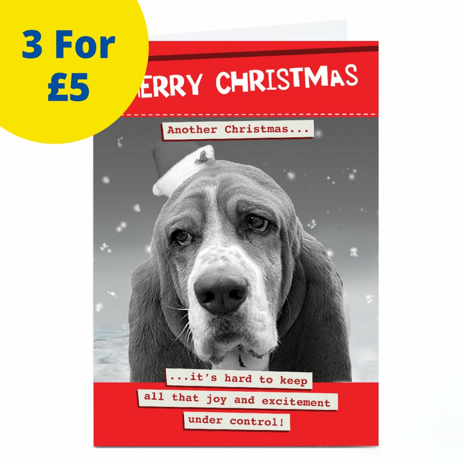 Image of Quitting Hollywood Christmas Card - Merry Christmas Dog | Christmas Cards