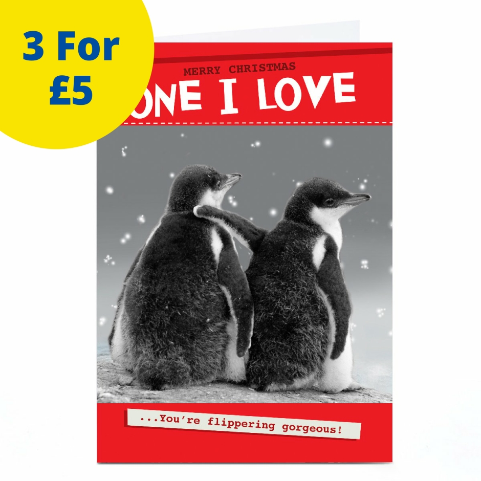 Image of Quitting Hollywood Christmas Card - Flippering Gorgeous | Christmas Cards