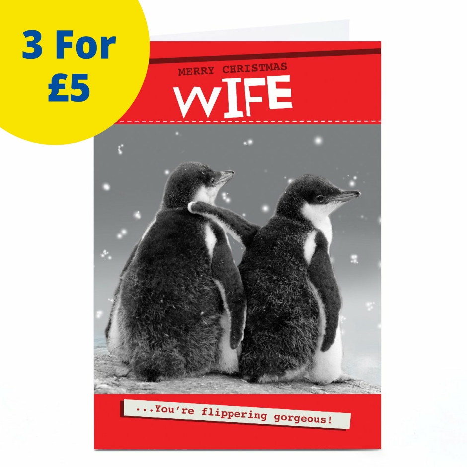 Image of Quitting Hollywood Christmas Card - Flippering Gorgeous, Wife | Christmas Cards