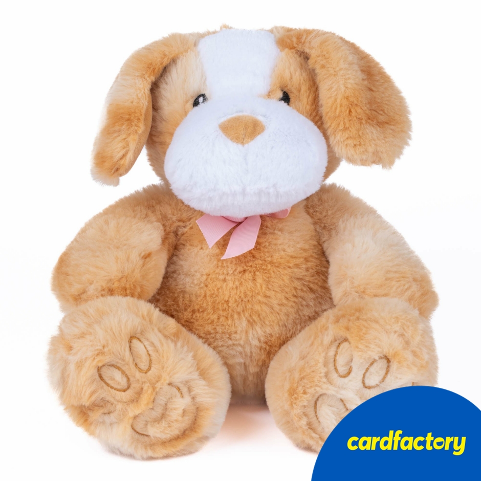Image of Small Puppy Soft Toy