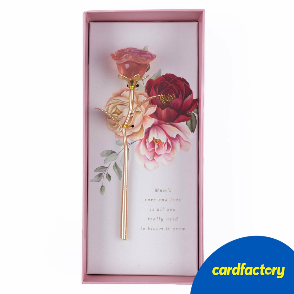 Image of Mum's Care &amp; Love Gift Ornamental Rose