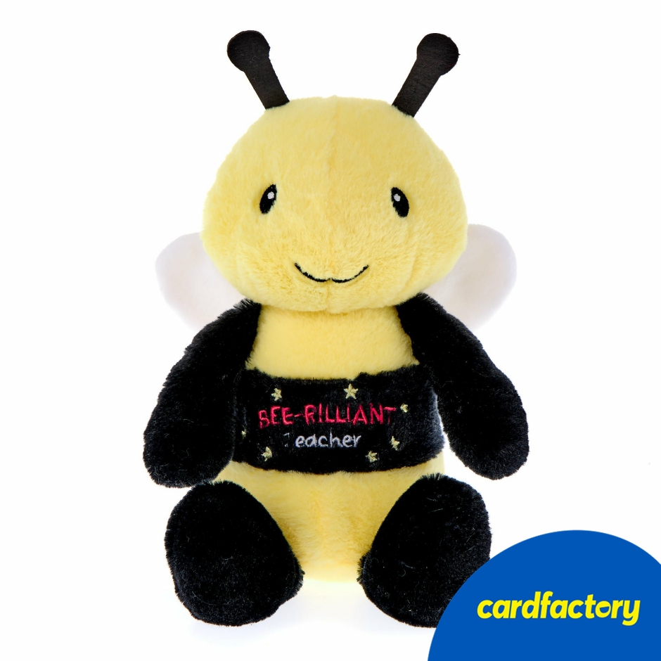 Image of Bee-rilliant Teacher Soft Toy