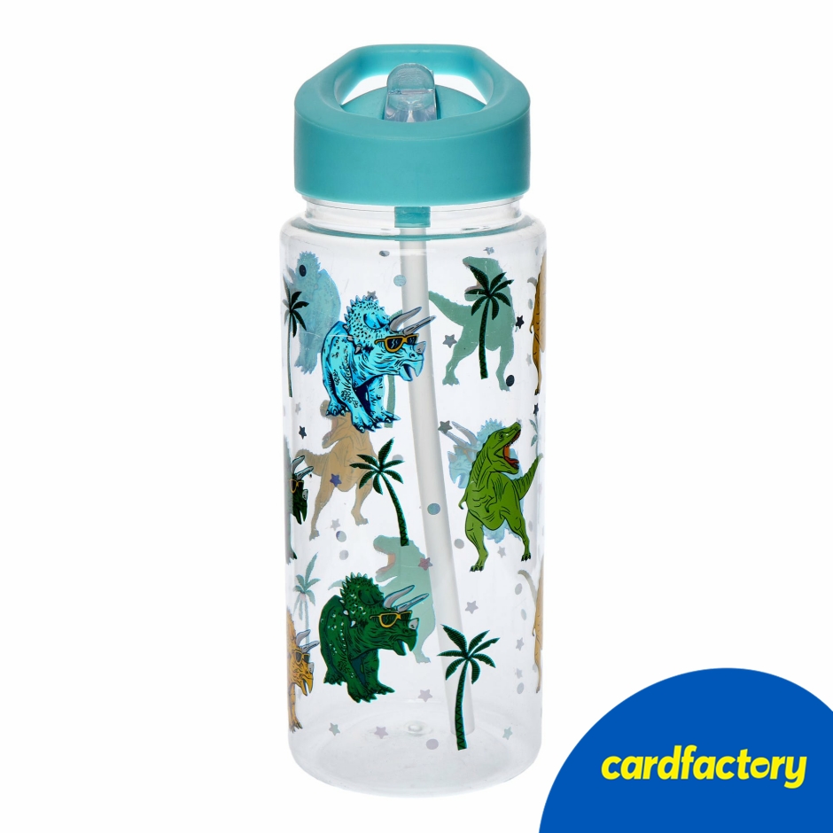 Image of Dinosaur Water Bottle | Fun Triceratops &amp; T-Rex Design | Blue Plastic Lid with Handle | Fold-Out Straw | 500ml Capacity | Reusable Hydration Accessory
