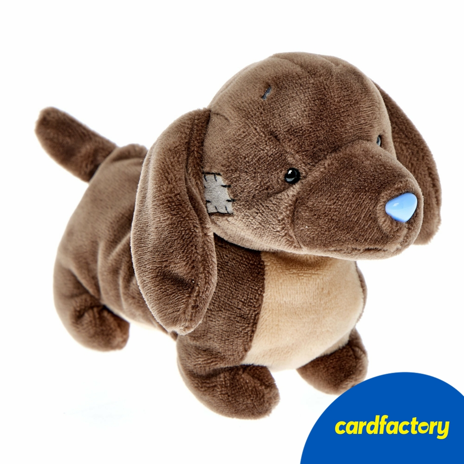 Image of My Blue Nose Friends Dexter Dachshund Toy | Cute Collectable Plush with Blue Nose &amp; Patches | Official Hand-Finished Collectable for Kids &amp; Fans