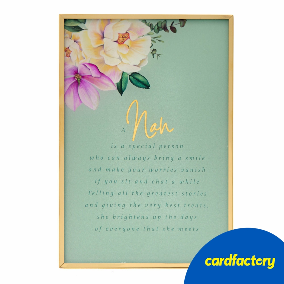 Image of A Nan Is A Special Person Plaque