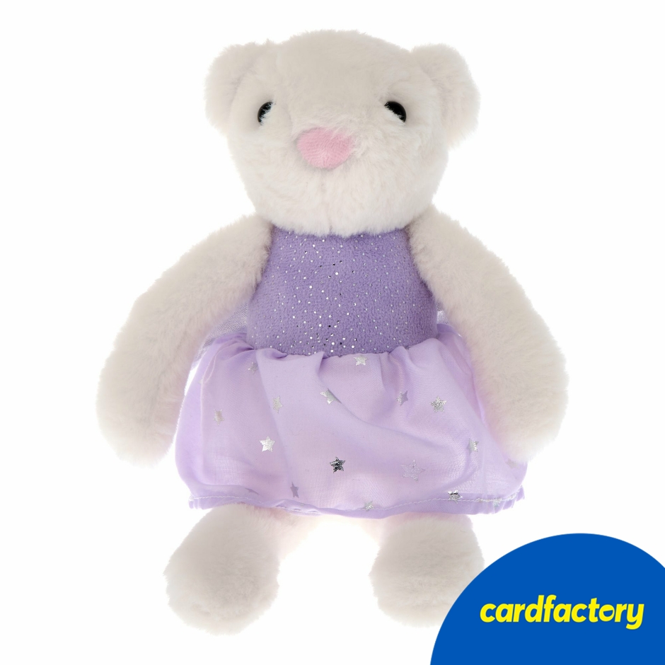 Image of Small Fairy Bear Soft Toy