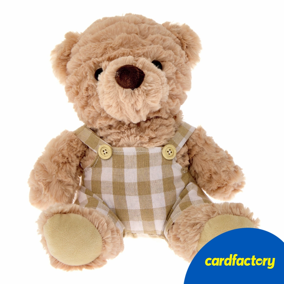 Image of Large Brown Bear in Dungarees Soft Toy | 100% Polyester | 25cm x 20cm x 10cm | Cuddly Gift for Children