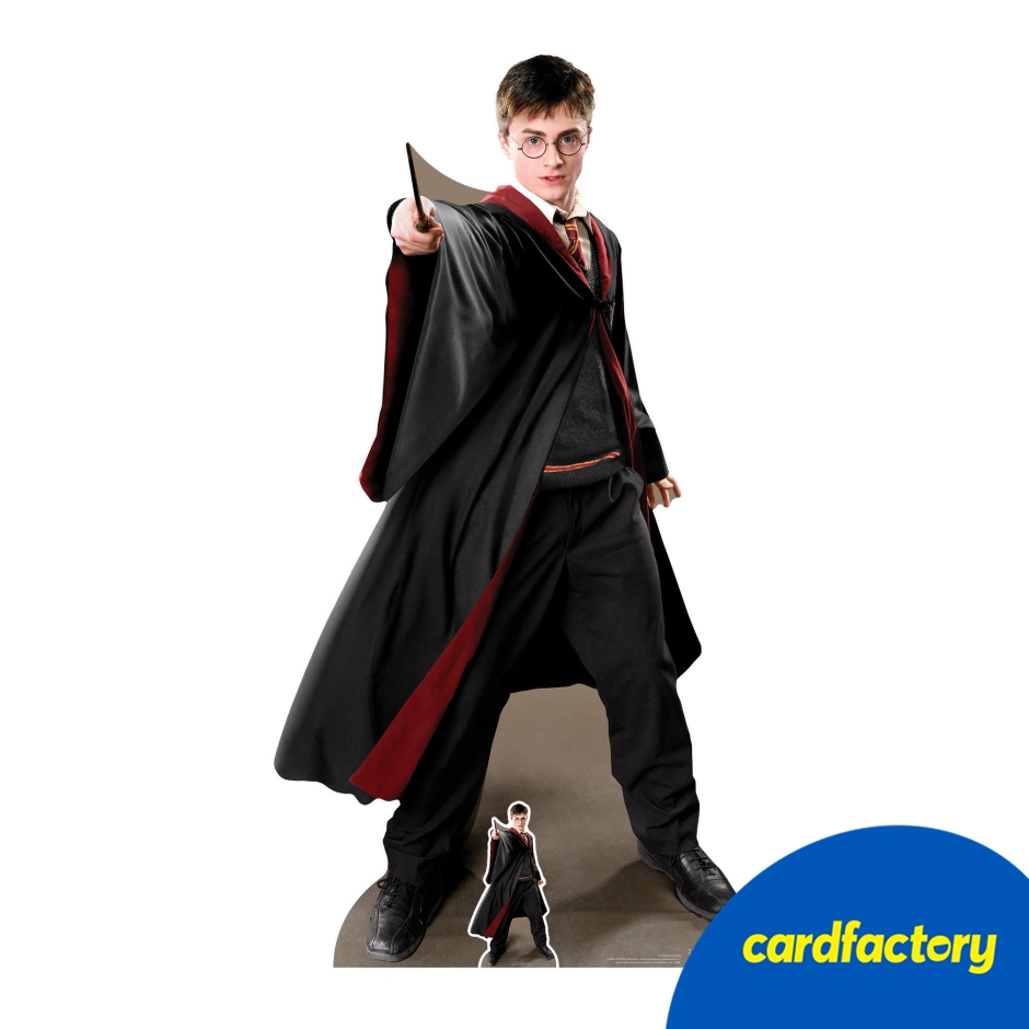 Image of Large Harry Potter Quidditch Captain Cardboard Cutout