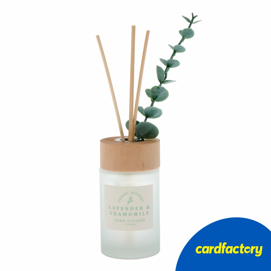 Image of Lavender &amp; Chamomile Room Diffuser | Relaxing Home Fragrance | Contemporary Gift Design with Reed &amp; Plant Sticks | Glass &amp; Wood | 20cm x 7cm x 7cm