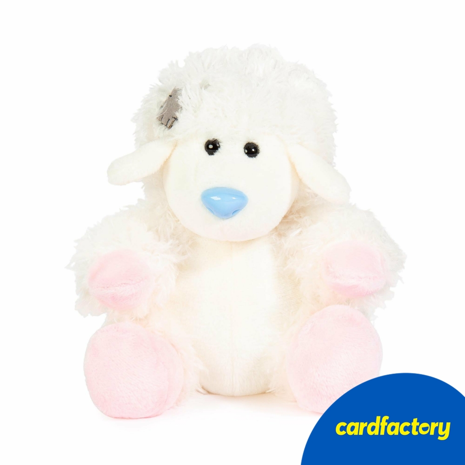 Image of My Blue Nose Friends Mary the Lamb Beanie | Collectable Plush Toy | Soft and Cuddly | Hand-Finished Quality | 11cm Size