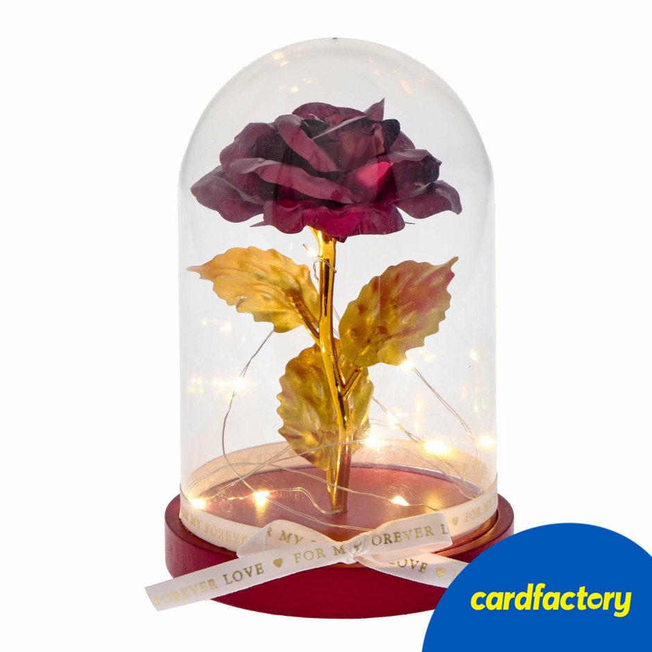 Image of For My Forever Love Light Up Rose in a Dome | Perfect Gift