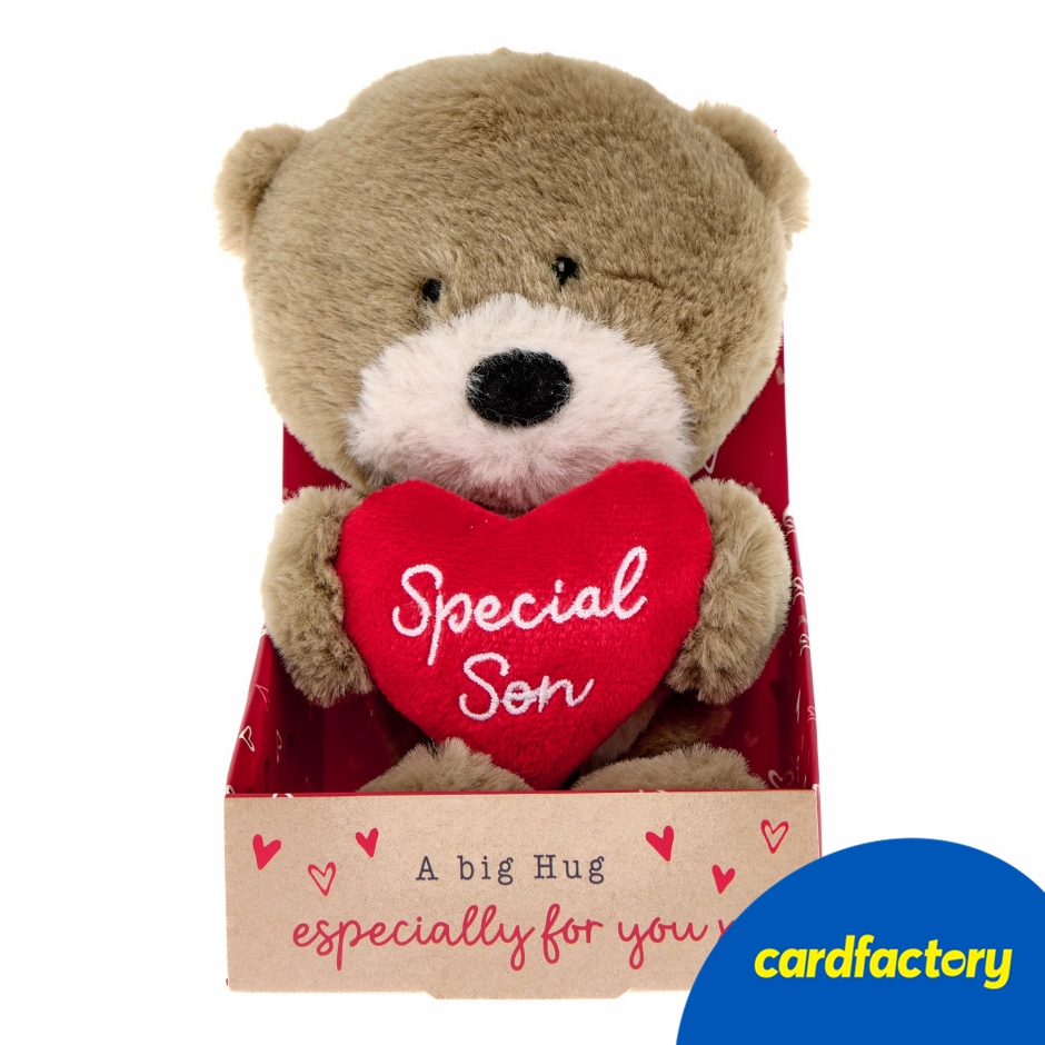 Image of Hugs Special Son Soft Toy