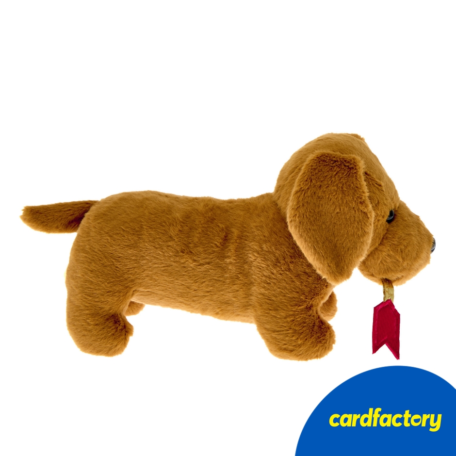 Image of Large Sausage Dog With Arrow Soft Toy
