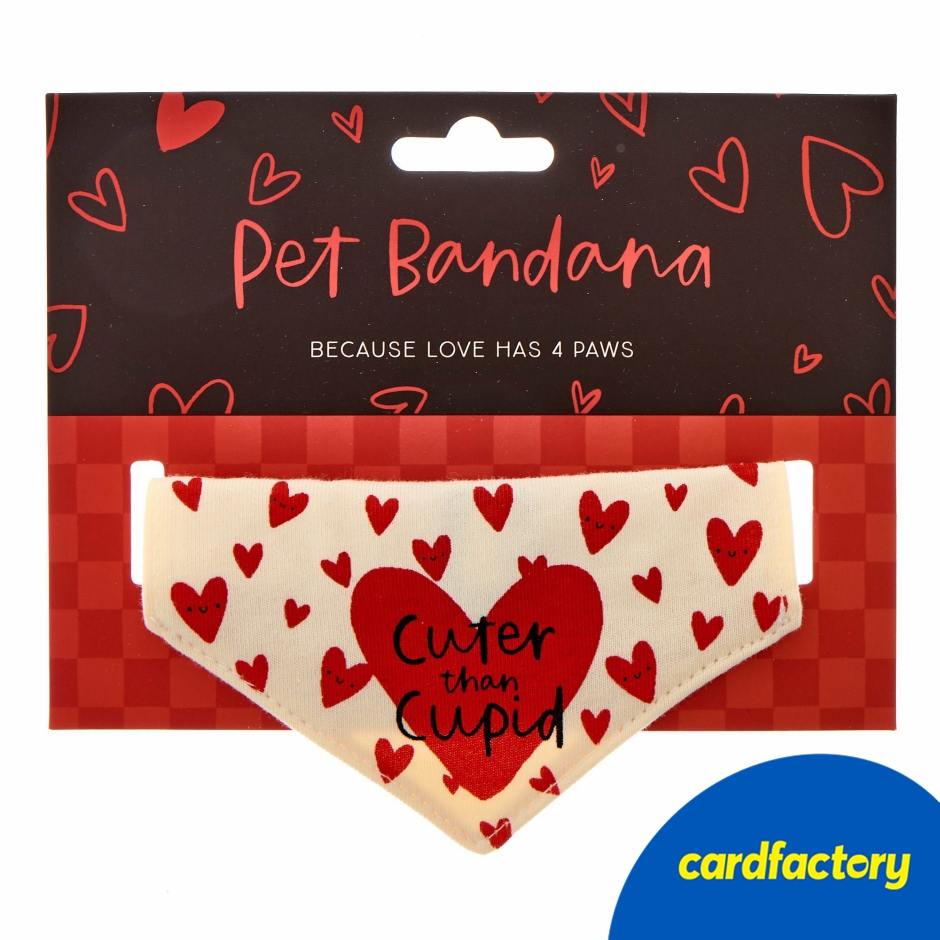 Image of Cuter Than Cupid Pet Bandana